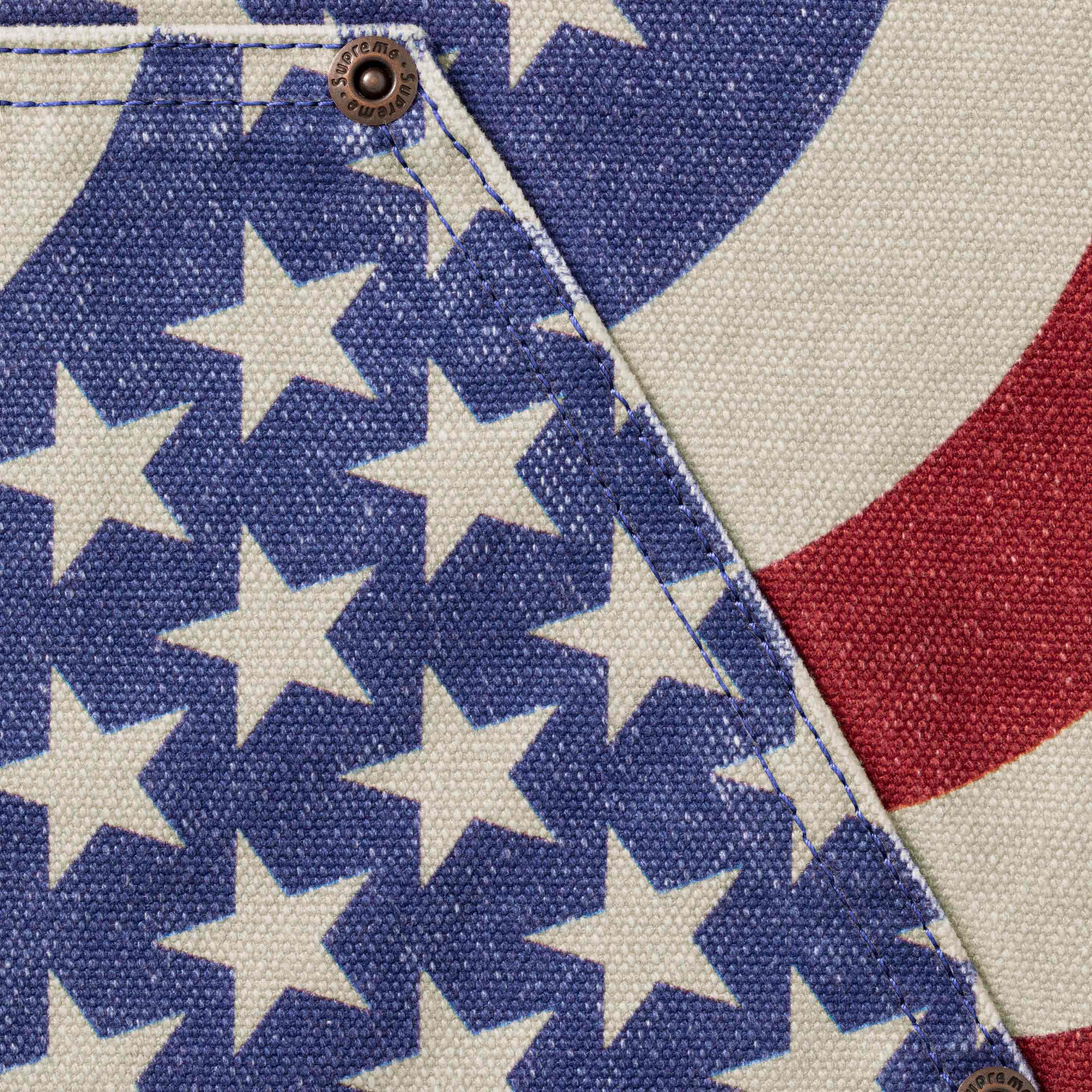 Flag Double Knee Painter Pant view 5
